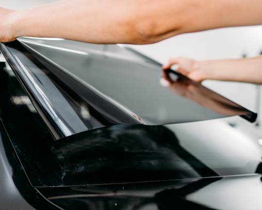 Choose the Right Tint Shade